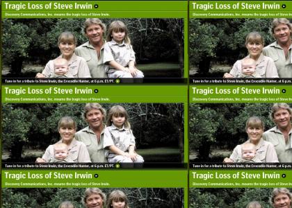 Steve Irwin Tribute Show!!!