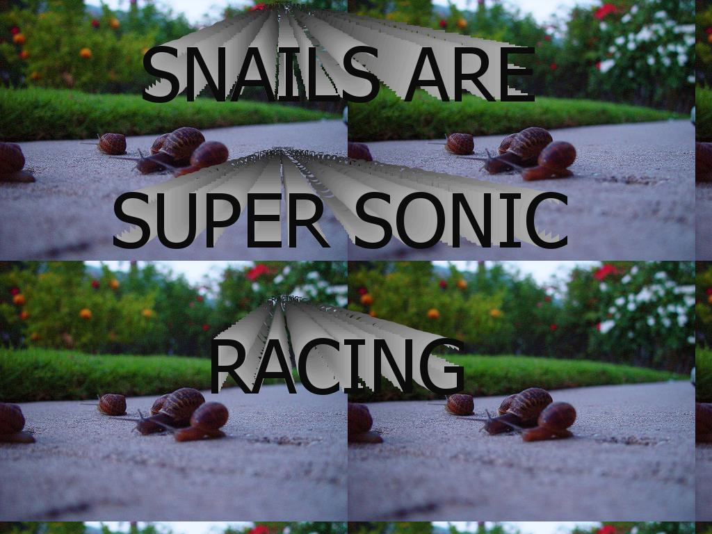 snailspeed