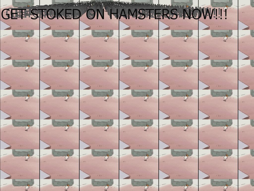 hamsterstoke