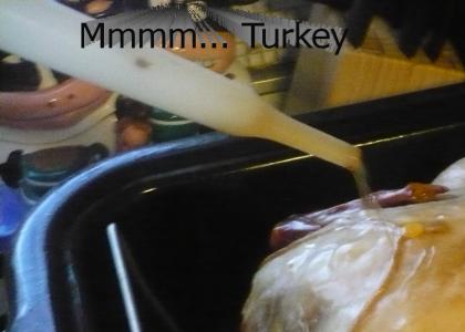Turkey Dinner...
