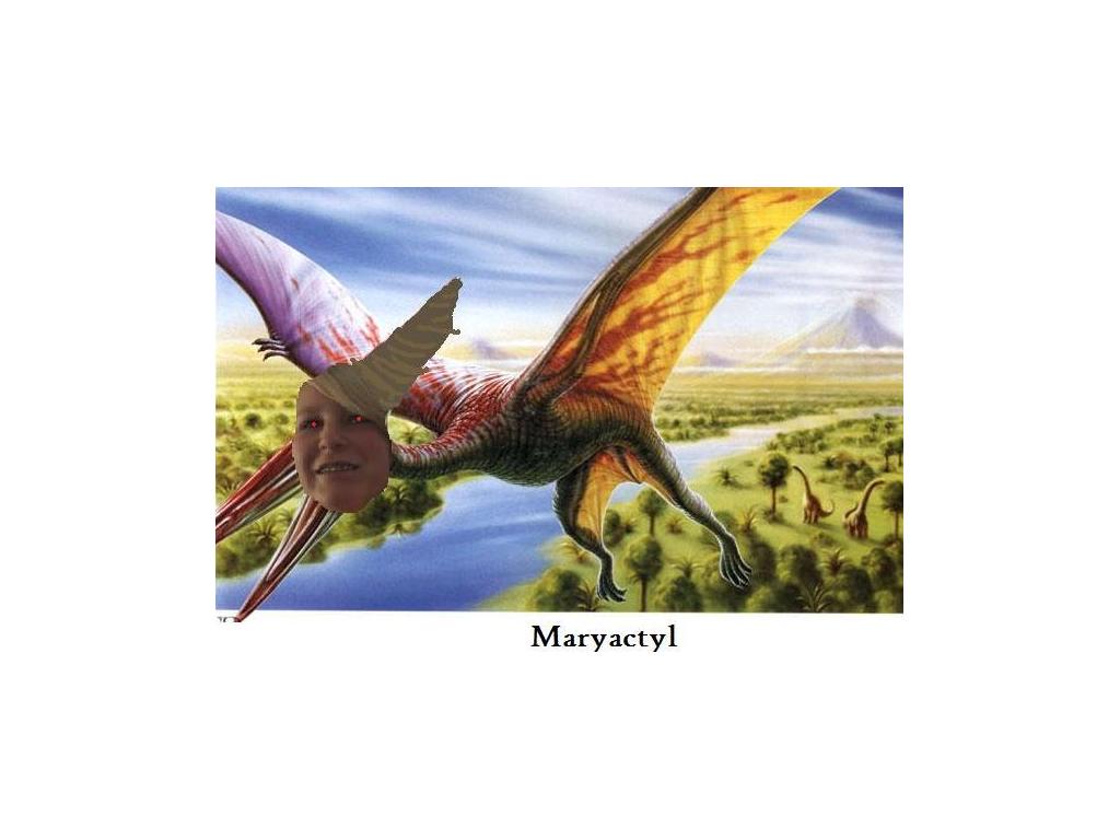 Marydactyl