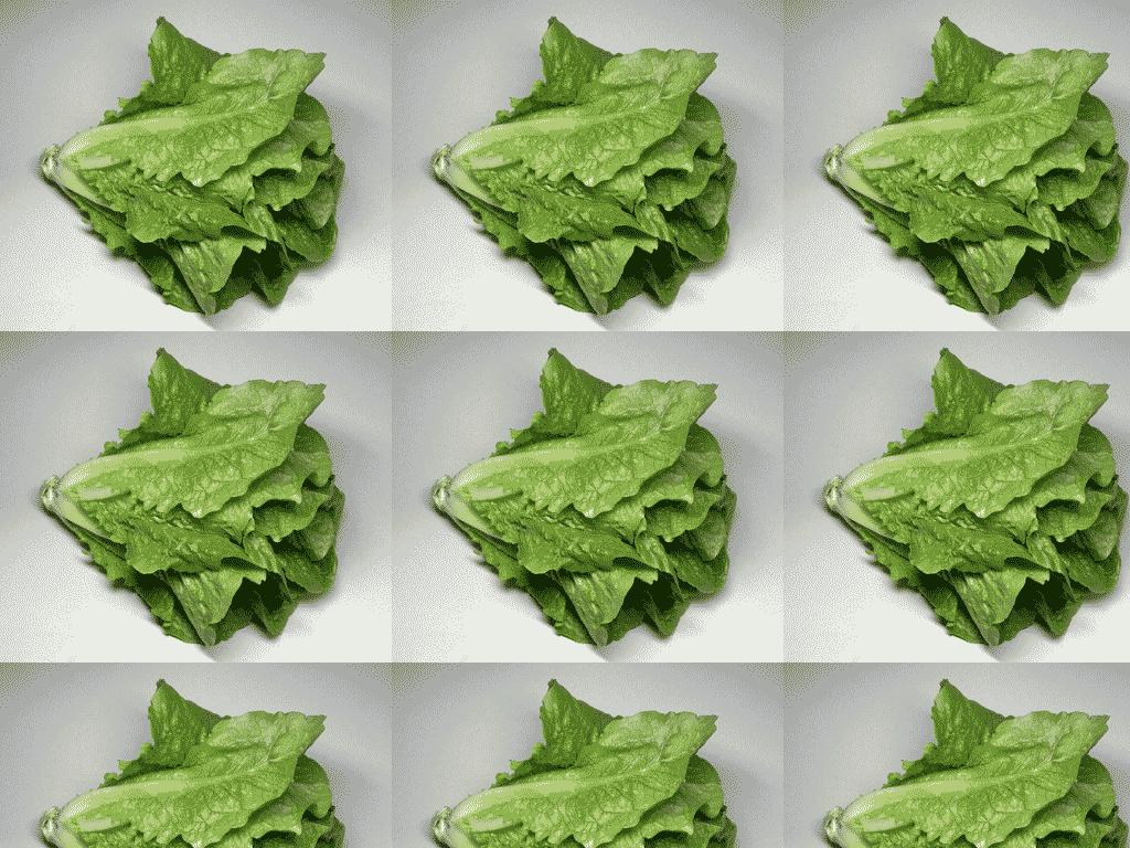 romaine