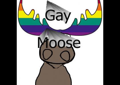 Gay Moose