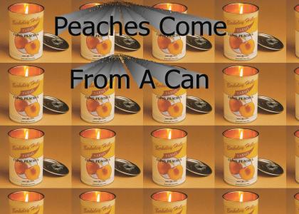 Peaches Come From A Can