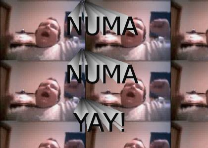 Numa Numa Guy