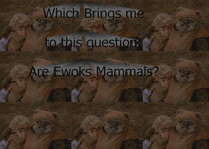 You Decide: Ewok or Pedo