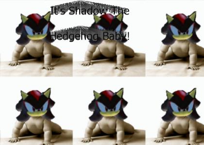 Shadow The Hedgehog Baby!