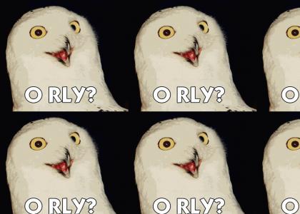 classic O Rly owl :D