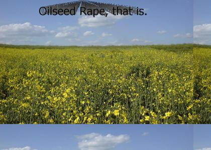 RAPE!