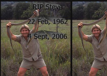 RIP Stever Irwin!