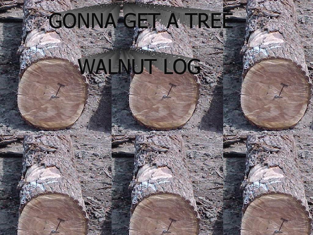 walnut-log
