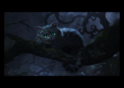 the Cheshire cat