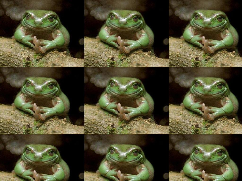 evilfrog