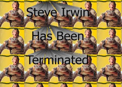 Crikey! Steve Irwin's Been Terminated!