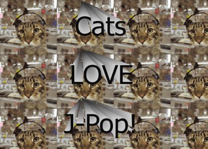 Cats Love J-Pop