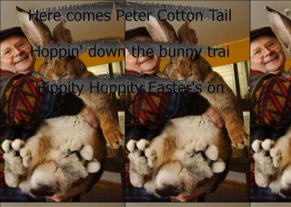 HERE COMES PETER COTTON TAIL