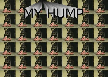 my hump