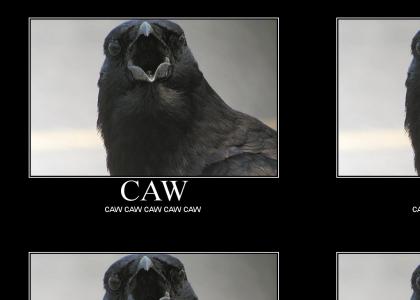 CAW