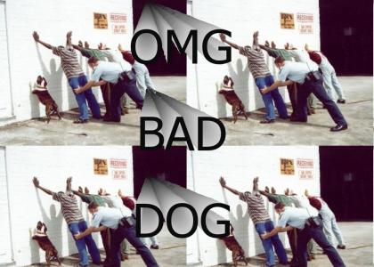 Bad Dog!