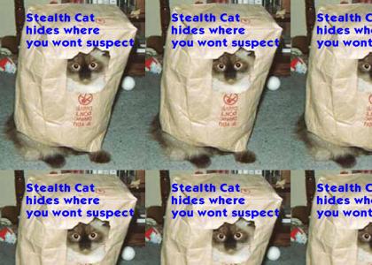 Cat in A Bag hides in your groceries