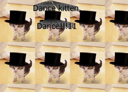 dance kitten, dance!