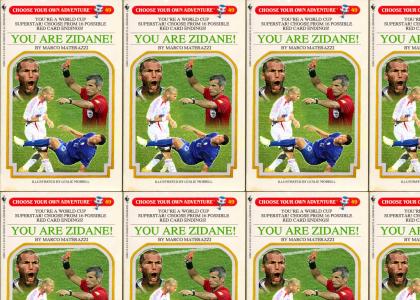 Zidane: The Novelization