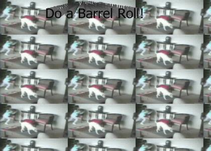 Barrel LOL