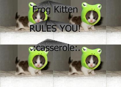 Casserole + frog + kitten= Home baked delicious!