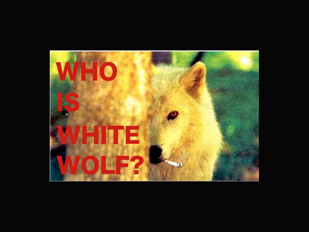 whoiswhitewolf