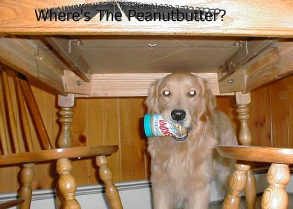 Peanutbutter Dog