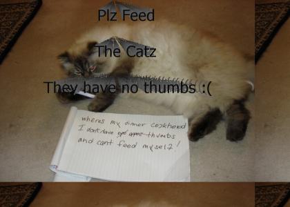 Cats dont have thumbs :(