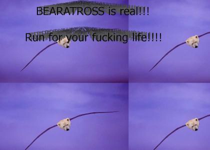 Bearatross