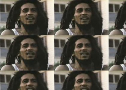 Bob Marley Loves Watching Arthur