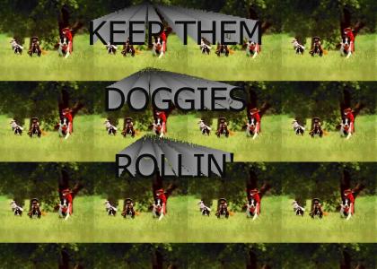 Keep Them Doggies Rollin'