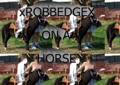 XROBBEDGEX ON A HORSE