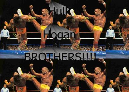 Hulk Hogan Owns