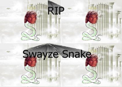 Farwell, RIP Swayze Snake