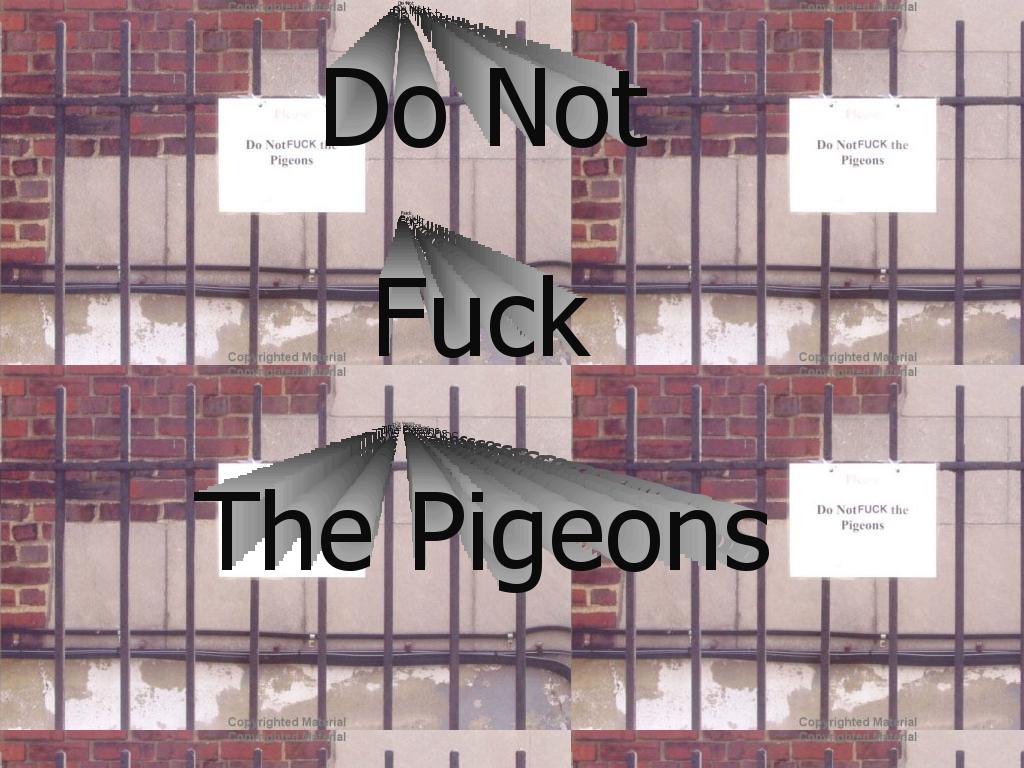 donotfuckpigeons