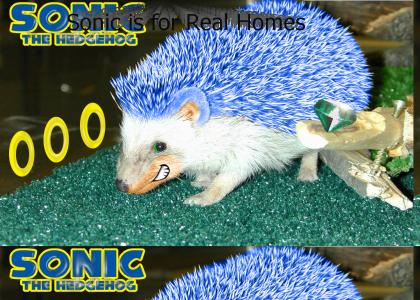Real Live Sonic