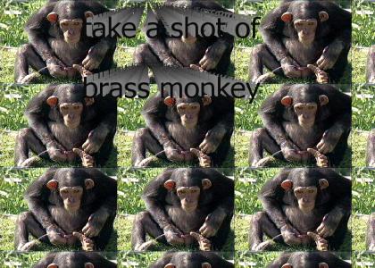 brassmonkey