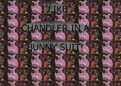 I like chandler in a bunny suit!