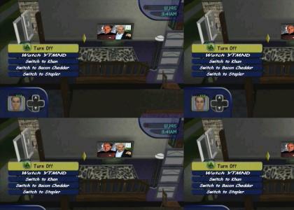 The Sims: YTMND
