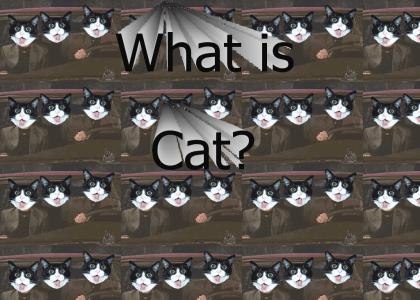 What is Cat?