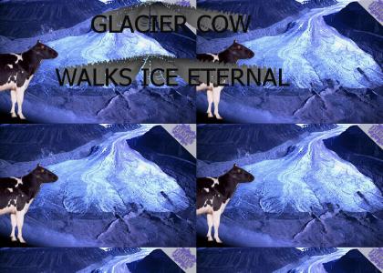 Glacier Cow [PTKFGS]