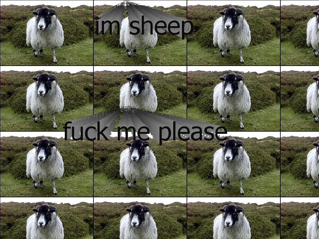 sheepylikeyou