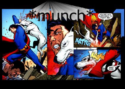 Krypto the Superdog Takes a Bite out of Crime