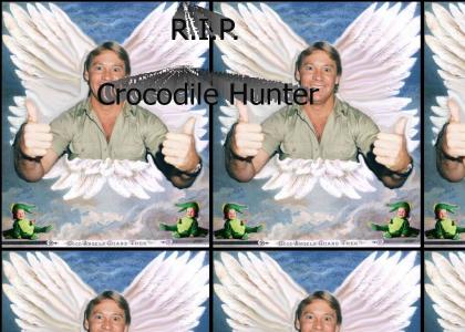 Rest in Peace Steve Irwin