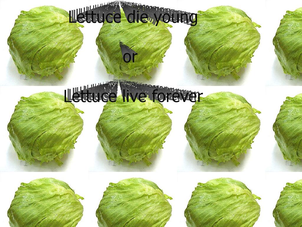 lettucedie