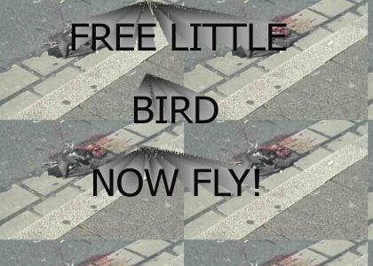 FREE LITTLE BIRD