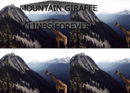 Mountain Giraffe